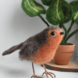 A felted figure of a robin The bird as been created using the Makerss - Small Robin Needle Felt Kit