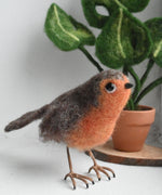 A felted figure of a robin The bird as been created using the Makerss - Small Robin Needle Felt Kit