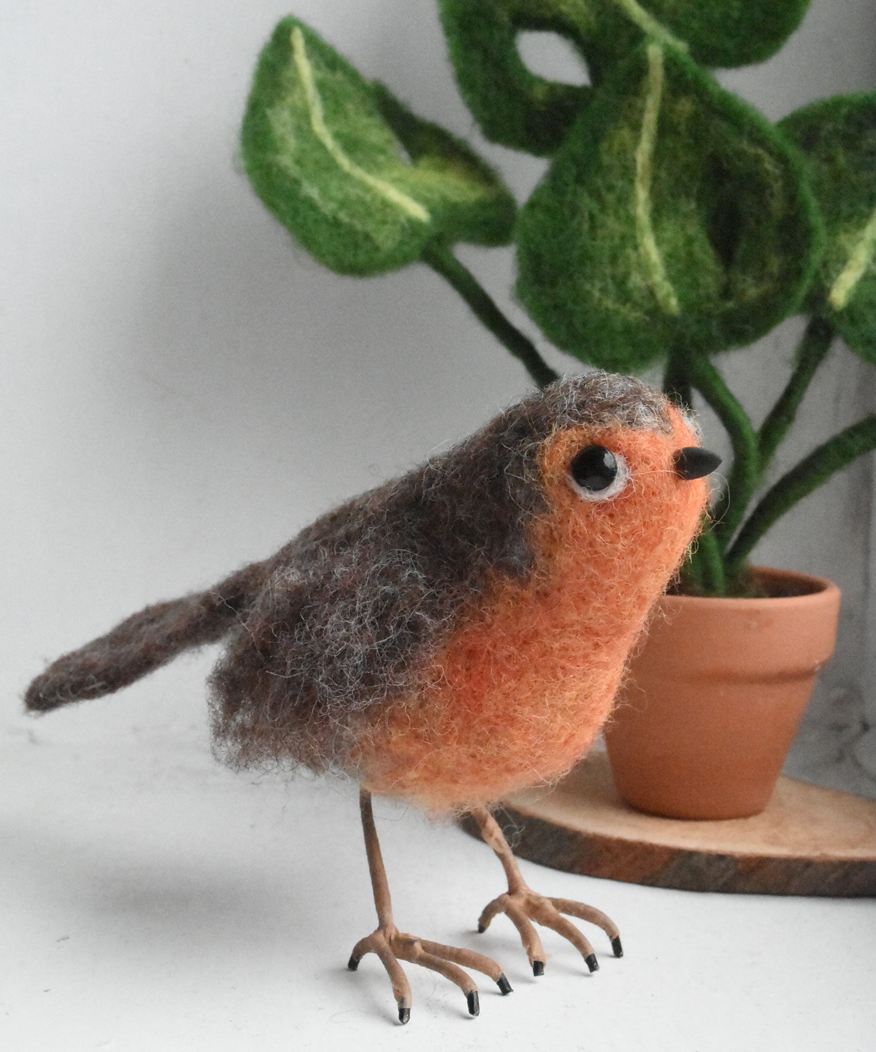 A felted figure of a robin The bird as been created using the Makerss - Small Robin Needle Felt Kit