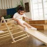 Triclimb Miri Slide V2