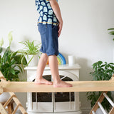 Triclimb Miri Slide V2