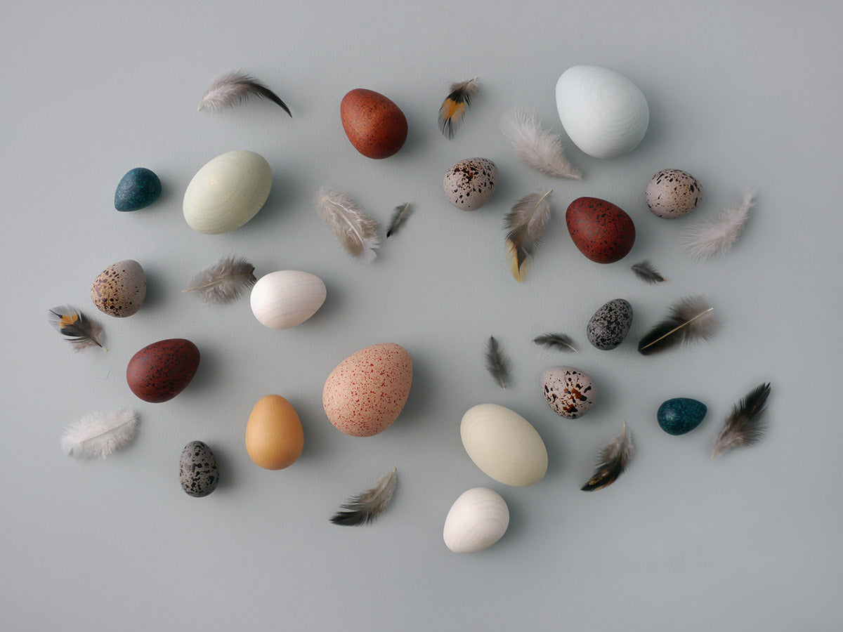 Erzi plastic free wooden egg toys scattered on a grey background next to some small feathers