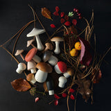 Moon Picnic Mushroom set scattered on a black background next to some autumn leaves