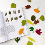 Moon Picnic wooden leaves set on a white background next to a nature book