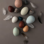 Erzi wooden birds egg toy set on a grey background