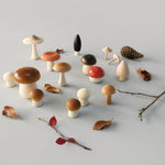 Moon Picnic plastic free wooden mushrooms laid out on a grey background next to some small branches and leaves