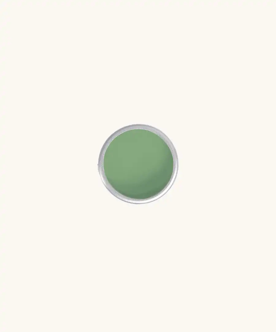Namaki Face Paint 6g Jar in green.