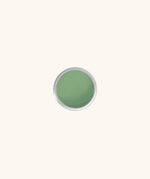 Namaki Face Paint 6g Jar in green.