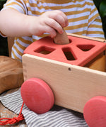 Child posting a Graapt Nin through the circle slot in the Nic wooden carriage shape sorter pull along toy. 