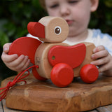 Child playing with the Nic waggle duck pull along wooden toy, moving it's red wings around.