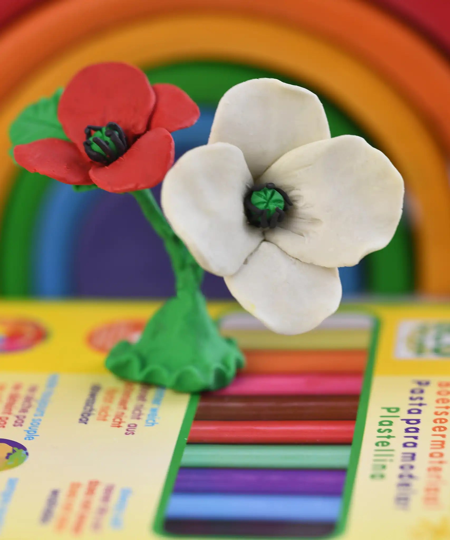 White and red poppy created from OkoNorm modelling clay, placed on the back. 