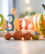 Pumpkins made from OkoNorm modelling clay placed in front of a decorated Grimm's celebration ring. 
