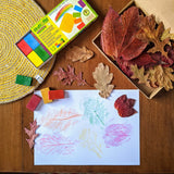 Leaf rubbings created using the OkoNorm wax crayon blocks from the 12 colour pack. 