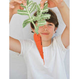 Oli & Carol DIY Cathy The Carrot
