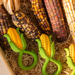 Oli & Carol Corn Rattle Teethers pictured on hat with real corn next to them