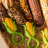 Oli & Carol Corn Rattle Teethers pictured on hat with real corn next to them