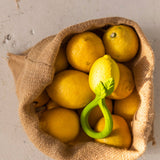 The Oli & Carol Lemon Rattle Teether  placed on a white muslin