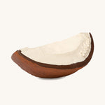 The Oli & Carol Coco The Coconut on a plain background. 
