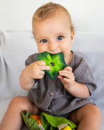 Young child sat down holding the Oli & Carol natural rubber kale baby teething toy in its mouth