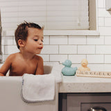 Chilb bathing in a large kitchen sink with Two oli & carol Elvis ducks on the counter top by their side