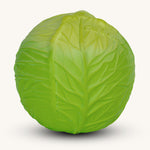 Oli & Carol Natural Rubber Baby Ball - Green Cabbage on a plain background. 