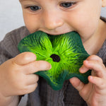 Close up of a young child with the Oli & Carol soft natural rubber kale baby teething toy in its mouth