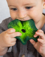 Close up of a young child with the Oli & Carol soft natural rubber kale baby teething toy in its mouth
