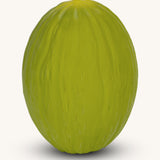 Oli & Carol 100% Natural Rubber Baby Sensory Ball - Melon on a plain background. 