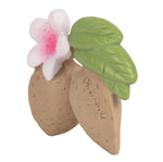 Oli and carol natural rubber aly the almond baby teething toy on a white background
