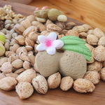 Close up of the oli and carol plastic free rubber almond food toy on a wooden table next to a pile of almonds