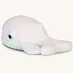 and a whale