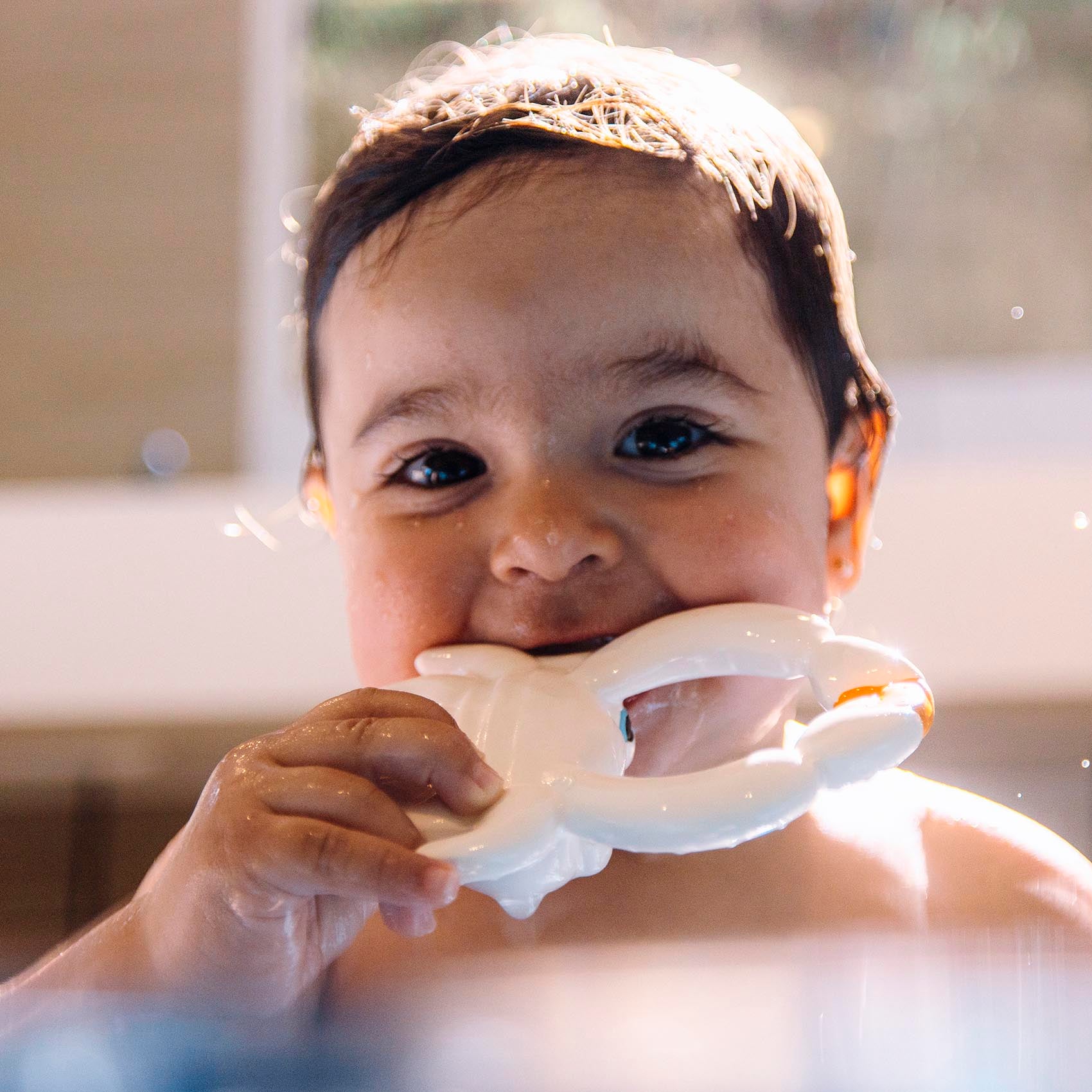 Oli and Carol Sharon the Crab rubber bath toy