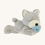 A soft white and grey Olli Ella dinkum puppy lying down on a cream background.