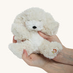 A soft white Olli Ella dinkum puppy in a pair of hands for scale on a cream background