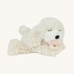 A soft white Olli Ella Belle dinkum puppy lying down with a magnetic dog toy in its mouth on a cream background.