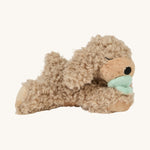 A soft and fluffy Brown Olli Ella Benny puppy with a magnetic dog toy in its mouth lying down on a cream background.