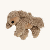 A soft and fluffy Brown Olli Ella Benny puppy on a cream background.
