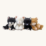 A row of the different Olli Ella binky kitten dolls available at Babipur including Kiki, Kit, Koda and Koko.