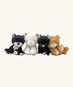A row of the different Olli Ella binky kitten dolls available at Babipur including Kiki, Kit, Koda and Koko.