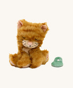 A sitting Olli Ella Koda binky kitten doll available at Babipur. This cute orange striped fluffy doll has beige paws, whiskers and comes with a green magnetic pacifier.