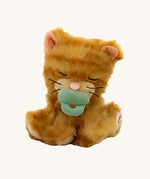 A Olli Ella Koda binky kitten doll sitting with the green magnetic pacifier in the mouth. This cute fluffy toy doll is available at Babipur