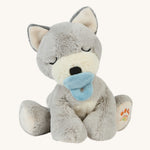 A soft grey sitting Olli Ella dinkum puppy with a magnetic dog toy on its mouth on a cream background.