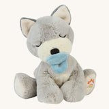 A soft grey sitting Olli Ella dinkum puppy with a magnetic dog toy on its mouth on a cream background.