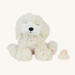 A soft white Belle Olli Ella dinkum puppy sitting down next to a a magnetic dog toy on a cream background.