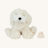A soft white Belle Olli Ella dinkum puppy sitting down next to a a magnetic dog toy on a cream background.
