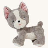 A standing grey and white Gizmo the Olli Ella dinkum dog on a cream background. 