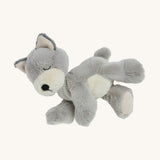 A soft grey and white Olli Ella dinkum puppy posing on a cream background.