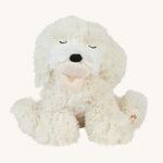 A soft white Olli Ella Belle dinkum puppy sitting down with a magnetic dog toy in its mouth on a cream background.