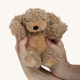 A soft and fluffy brown Benny the Olli Ella dinkum puppy in a pair of hands on a cream background