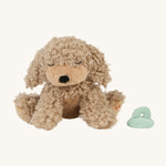 A soft and fluffy brown Benny Olli Ella dinkum puppy sitting next to its light blue magnetic toy on a cream background.
